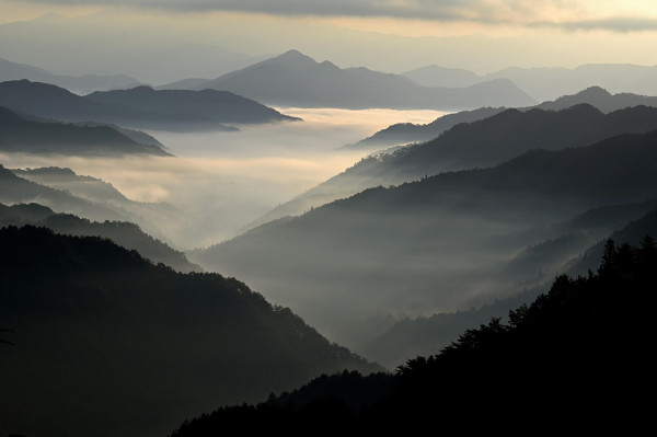 보도사진